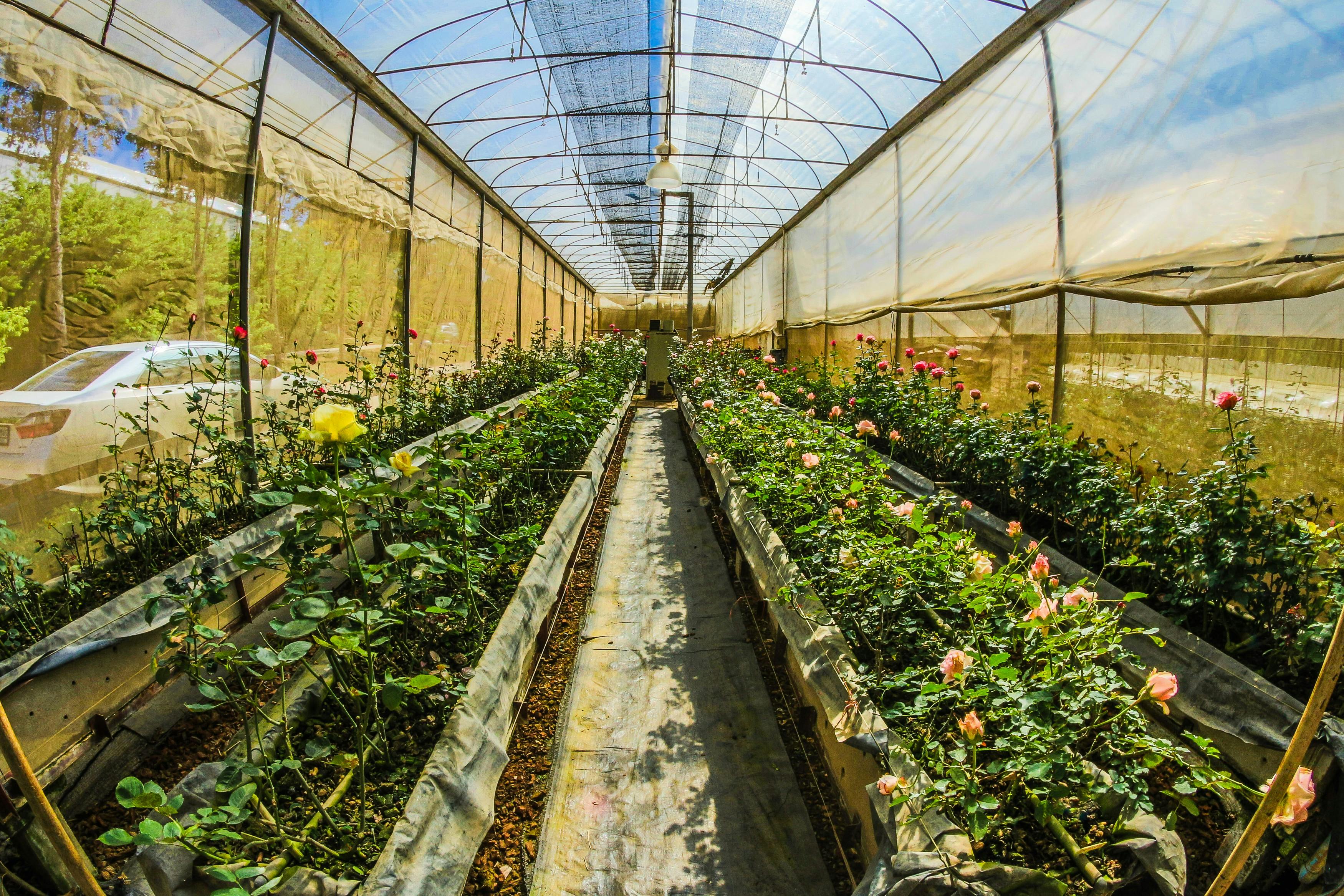 Shelves stocked with gardening tools, soils, fertilizers, and pots